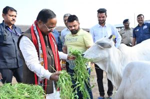 गौमाता की सेवा बहुत पुण्य का काम है: कृषि मंत्री  राम विचार नेताम