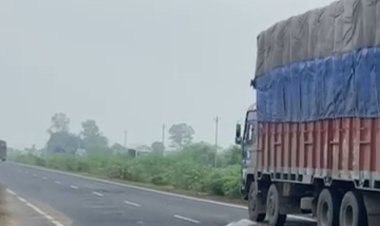 सुमेला गांव में फिर कुचलने से 5 गाय की मौत:4 गाय की मौत के बाद जिपं CEO सचिव को नोटिस भेज कर चुके खानापूर्ति