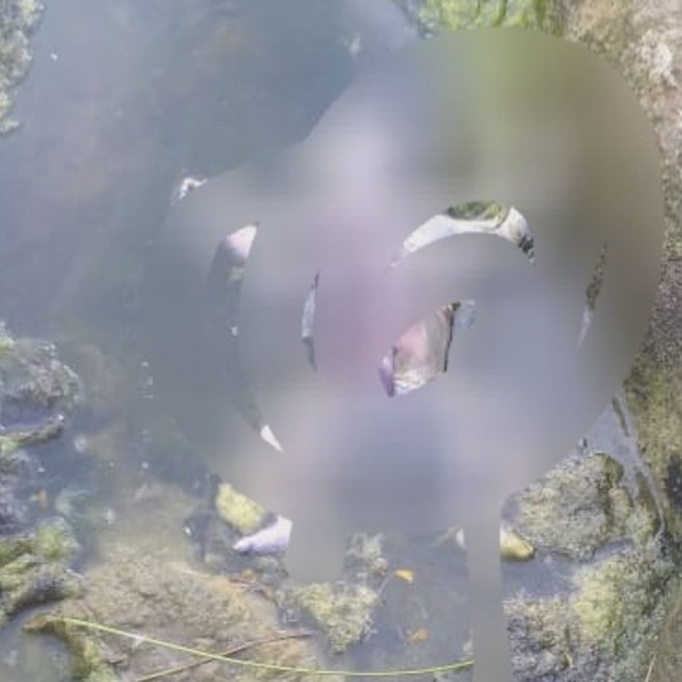 शहडोल के सोन नदी में मिला नवजात का शव:जरवाही पुल के नीचे तैरती मिली बॉडी, 3-4 दिन पहले हुआ था जन्म