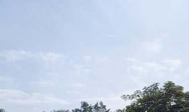 अशोकनगर में सीजन की सबसे सर्द रात:पहली बार न्यूनतम तापमान 3.8 डिग्री दर्ज; दिन में सर्द हवाओं से बढ़ रही ठंड