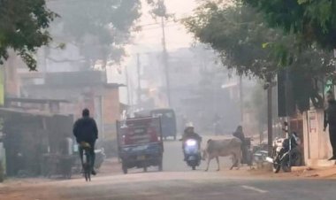 मंडला में बदला मौसम का मिजाज:ग्रामीण इलाकों में सुबह 9 बजे तक छाया घना कोहरा, पंजाब-हरियाणा में साइक्लोनिक सर्कुलेशन सक्रिय