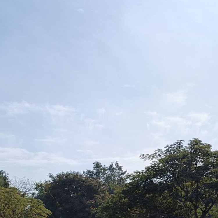 अशोकनगर में सीजन की सबसे सर्द रात:पहली बार न्यूनतम तापमान 3.8 डिग्री दर्ज; दिन में सर्द हवाओं से बढ़ रही ठंड