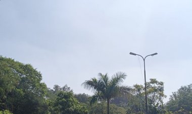 अशोकनगर में तेज ठंड का अलर्ट:न्यूनतम तापमान 8 डिग्री; बादल और कोहरे से घिरा जिला