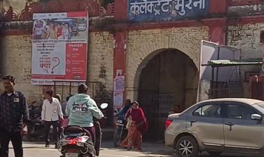 मुरैना में 8.5 डिग्री पहुंचा न्यूनतम तापमान:दिन में खिल रही तेज धूप; 3 फरवरी से हल्की बूंदाबांदी की संभावना