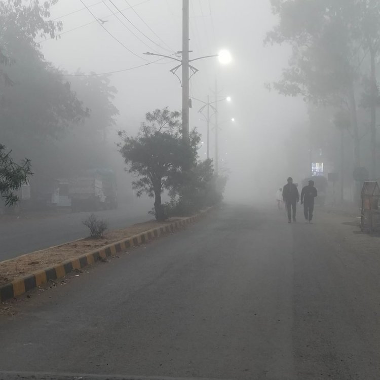 डिंडौरी में 10 डिग्री पहुंचा न्यूनतम तापमान:सुबह घने कोहरे से विजिबिलिटी 30 मीटर तक सीमित