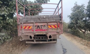 वाहन की ठोकर से पत्नी की मौत, पति गंभीर