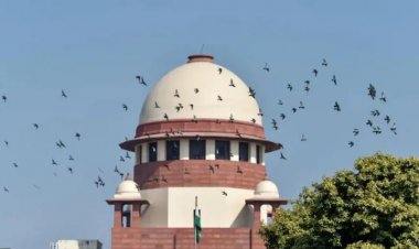 OTT और सोशल मीडिया पर अश्लील कंटेंट होंगे बंद? सुप्रीम कोर्ट ने केंद्र सरकार और डिजिटल प्लेटफॉर्म्स को भेजा नोटिस