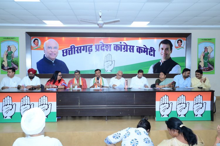 प्रदेश कांग्रेस कार्यकारिणी की बैठक संपन्न   दुर्ग को 25 अप्रैल को संविधान बचाओ रैली निकाली जायेगी