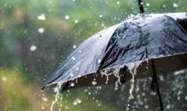 बारिश के चलते नौतपा का असर खत्म, मौसम पूरी तरह बदला हुआ नजर आ रहा है।