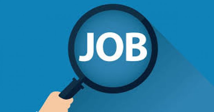 Government Jobs : जल संसाधन विभाग में इन पदों में होगी भर्तियां, व्यापम लेगा परीक्षा, इस तारीख तक करें आवेदन…