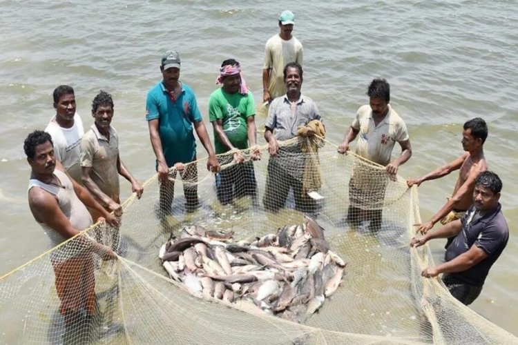 CG : छत्तीसगढ़ में 16 जून से 15 अगस्त तक मछली पकड़ने पर रोक, उल्लंघन करने पर मिलेगी सजा