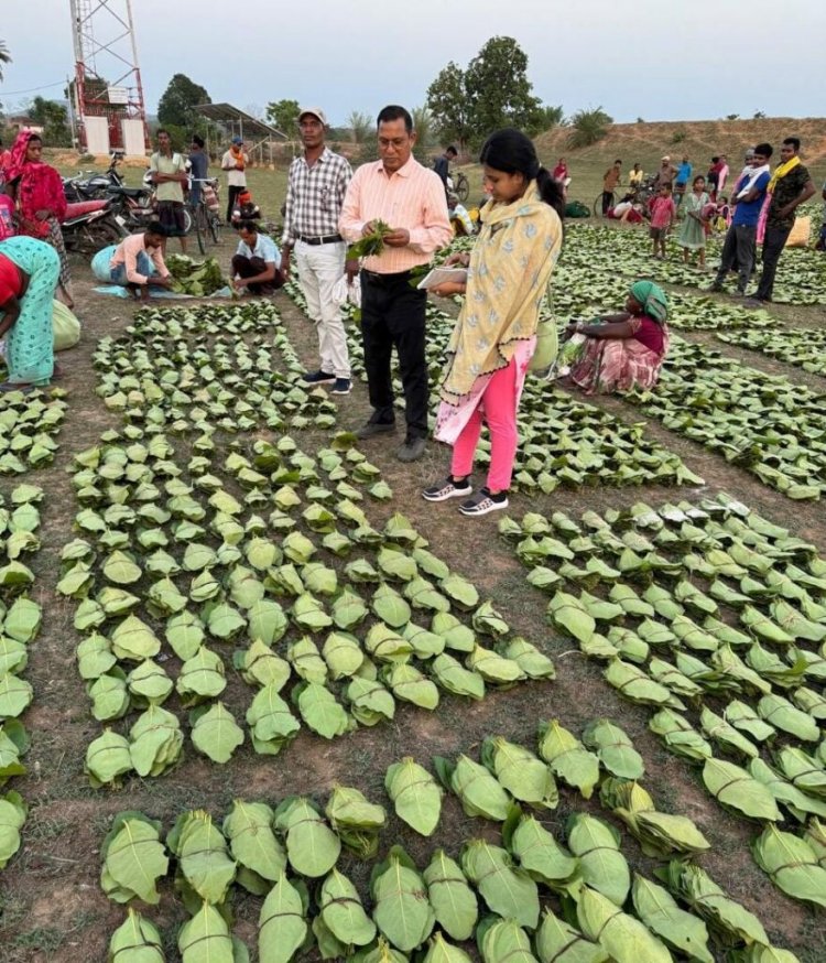 मुख्यमंत्री विष्णु देव साय 21 जून को करेंगे चरण पादुका योजना का प्रदेशव्यापी शुभारंभ…