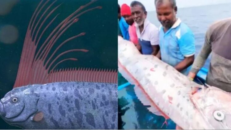 Baba Venga: दुनियाभर में दिखी कयामत वाली मछली, क्या सच होने वाली है बाबा वेंगा की भविष्यवाणी