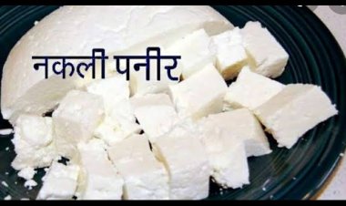 रात 12 बजे वैद्य फूड में राजस्व, खाद्य औषधि एवं पुलिस की संयुक्त टीम की दबिश, 200 किलो पनीर जब्त