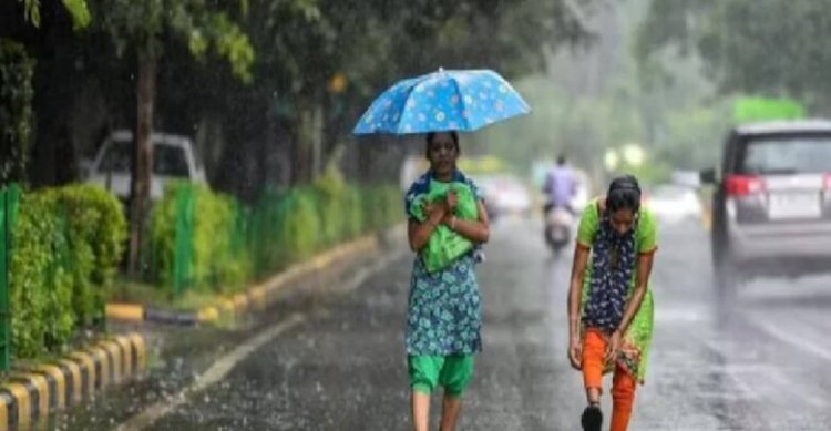 छत्तीसगढ़ में मानसून एक्टिव: अगले 5 दिनों तक बारिश के आसार, कुछ इलाकों में भारी वर्षा की चेतावनी