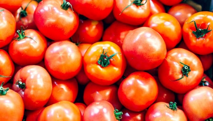 CG : टमाटर हुआ लाल, बरसात आते ही सब्जियों की कीमत छूने लगी आसमान