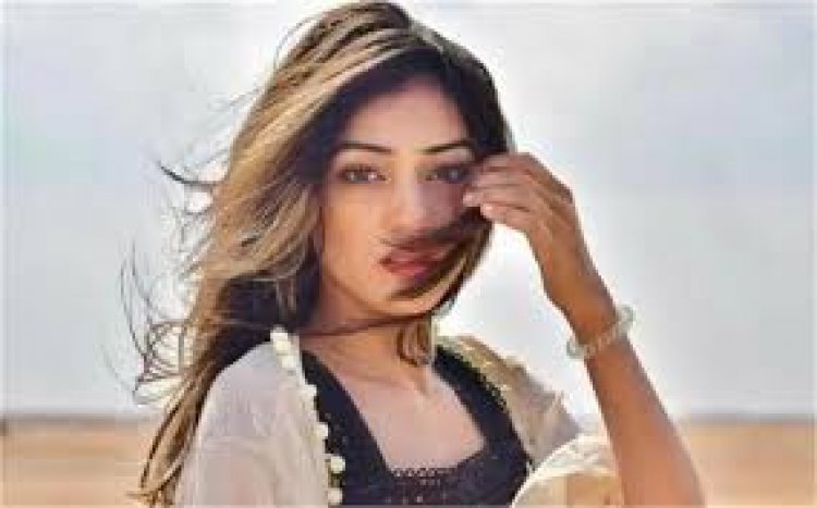 लंदन में चोरी हुआ RJ Mahvash का ब्रेसलेट, कीमत जानकर आपके भी उड़ जाएंगे होश …