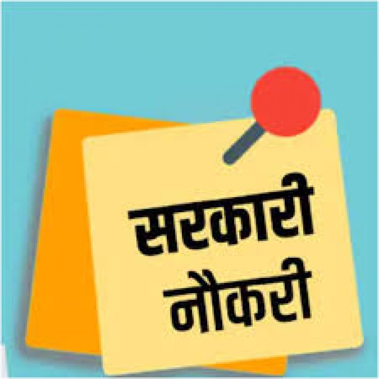 CG सरकारी नौकरी : इन पदों पर निकली भर्ती, 12वीं पास भी कर सकते है आवेदन, देखें पूरी डिटेल…