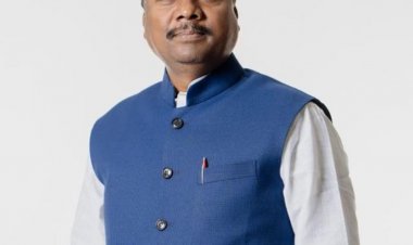 छत्तीसगढ़ में बाघों की संख्या हुई दोगुनी, बेहतर वन प्रबंधन और सतत निगरानी का परिणाम - केदार कश्यप