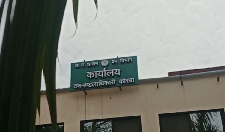 करेंट की चपेट में आने से हाथी की मौत,फसल बचाने किसान ने लगाई थी बिजली की तार..