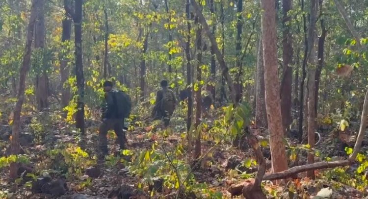 BREAKING : गरियाबंद में पुलिस-नक्सली मुठभेड़ में 10 नक्सली ढ़ेर