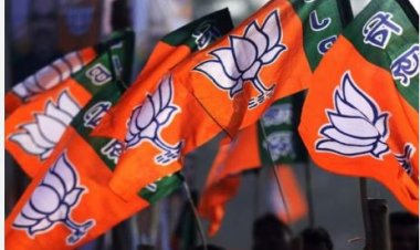 Election Results : अब तक भाजपा के 52 प्रत्याशी विजयी घोषित, पार्टी के भरोसे पर खरे उतरे ये नेता, देखें लिस्ट…