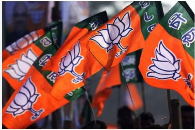 Election Results : अब तक भाजपा के 52 प्रत्याशी विजयी घोषित, पार्टी के भरोसे पर खरे उतरे ये नेता, देखें लिस्ट…