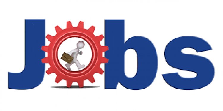 जिले में 20 फरवरी को विशाल रोजगार मेला: निजी क्षेत्र में 50 पदों पर सीधी भर्ती का सुनहरा अवसर