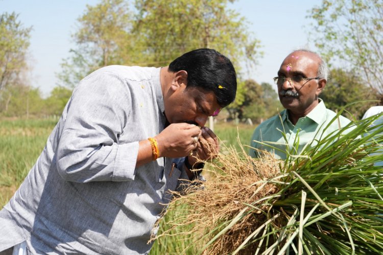 छत्तीसगढ़ को हर्बल ग्रोथ इंजन बनाने की दिशा में तेजी से काम कर रहा है बोर्ड : अध्यक्ष  विकास मरकाम