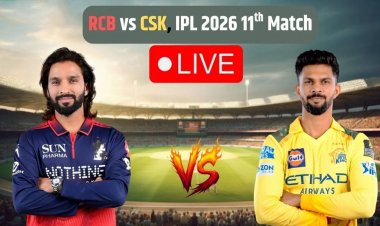 RCB vs CSK IPL 2026 LIVE Score: आरसीबी ने चेन्नई को दिया 251 का लक्ष्य, टिम डेविड ने ठोके तूफानी 70 रन
