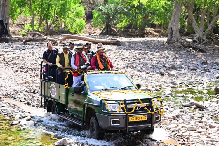 भोरमदेव जंगल सफारी: घने जंगलों के बीच रोमांच का नया सफर