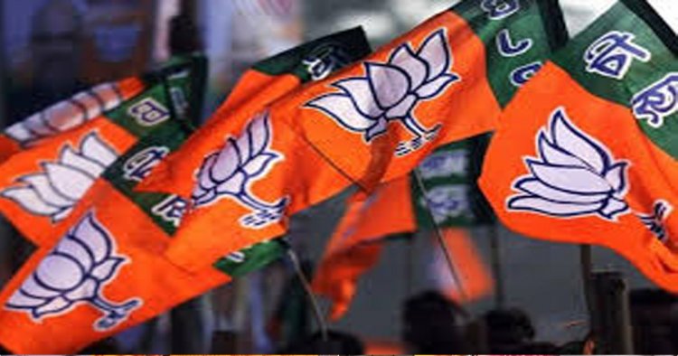 प्रधानमंत्री मोदी के विकासवाद और सुशासन की जीत - भाजपा