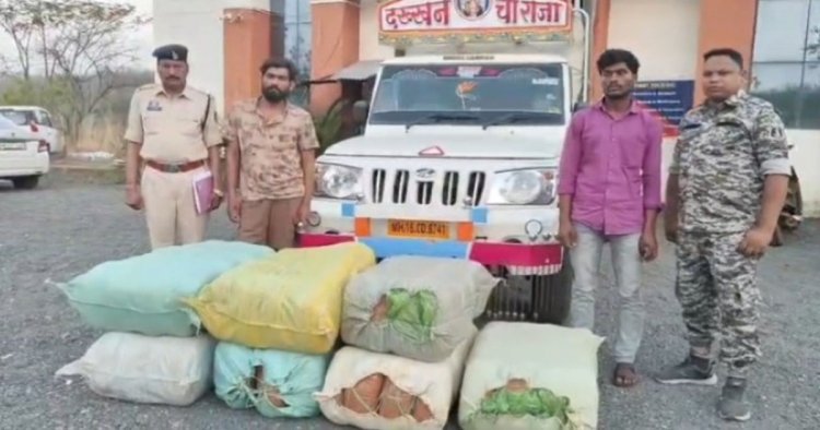 BREAKING : नशे के कारोबार के खिलाफ बड़ी कार्रवाई, 1 करोड़ 14 लाख का गांजा जब्त, दो तस्कर गिरफ्तार