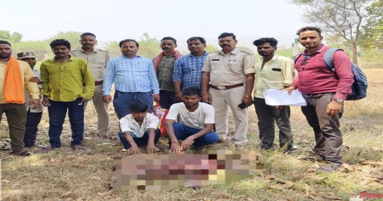 जंगली सुवर का शिकार करते 2 आरोपी गिरफ्तार, 4 अन्य आरोपियों की तलाश जारी