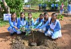 विश्व पर्यावरण दिवस 2026 : हरित विकास, जल संरक्षण और जनभागीदारी से पर्यावरणीय समृद्धि की ओर बढ़ता छत्तीसगढ़