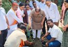 ’विश्व पर्यावरण दिवस के अवसर पर विधायक  सुनील सोनी ने लगाए पौधे’