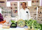 जैविक सब्जी के उत्पादन और एप्पल की खेती से बनाई नई पहचान