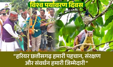 विश्व पर्यावरण दिवस पर वन मंत्री केदार कश्यप का प्रदेशवासियों को संदेश: कहा "हरियर छत्तीसगढ़ हमारी पहचान, संरक्षण और संवर्धन हमारी जिम्मेदारी