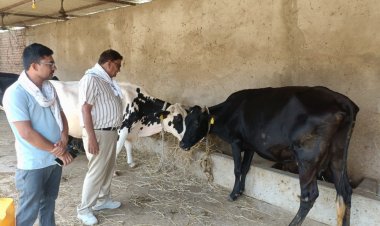 किसानों की अतिरिक्त आमदनी का जरिया है दुग्ध उत्पादन