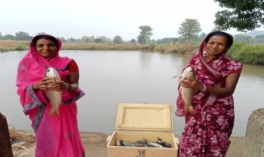 मत्स्य पालन बना ग्रामीण समृद्धि का सशक्त माध्यम