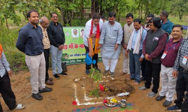 जैव विविधता पार्क कांकेर के माकड़ी में औषधिय पौधों का रोपण- पारंपरिक चिकित्सा को बढ़ावा देने की नई पहल