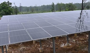 नक्सल साए से निकलकर हरित ऊर्जा का मॉडल बना ठेनही
