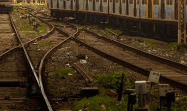 दर्दनाक हादसा: रेलवे ट्रैक पार कर रहे हिरणों का झुंड ट्रेन की चपेट में आया, 6 की मौत