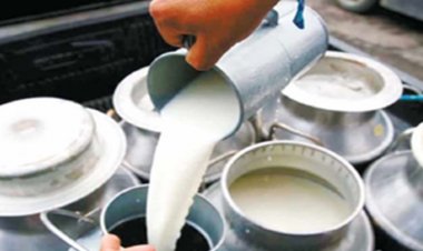 दूध के लिए MSP लाने का कोई प्रस्ताव नहीं: सरकार