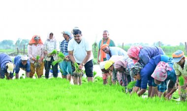 कृषि कार्यों में शामिल हुए शिक्षा मंत्री गजेन्द्र यादव
