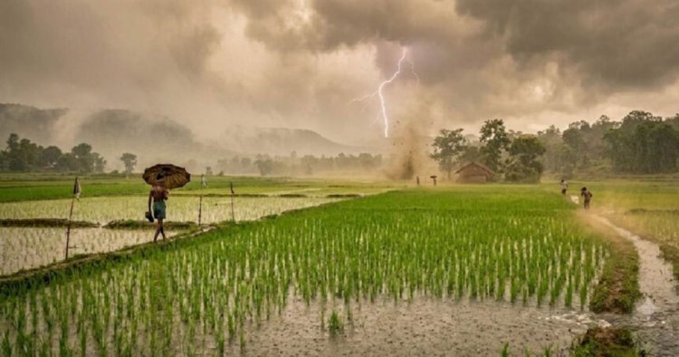 weather update: मानसून पर लगा ब्रेक, छत्तीसगढ़ में अगले 2 दिन बारिश के आसार नहीं, जानिए कब होगी वापसी