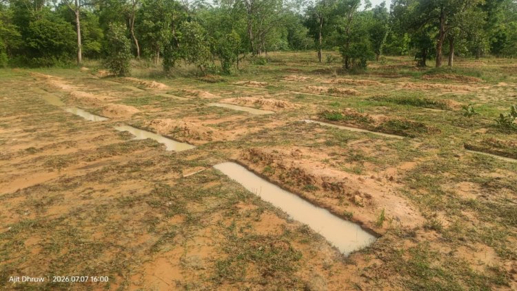 मानसून में तेज़ हुई वन संरक्षण गतिविधियाँ, जल संरक्षण से हरियाली और वन सुरक्षा को मिल रहा नया बल