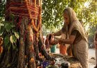 शनिवार को पीपल के पेड़ पर छाछ चढ़ाने की मान्यता, जानिए क्या है धार्मिक महत्व