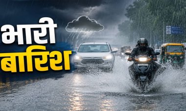 फिर सक्रिय हुआ मानसून, 7 दिन तक बारिश का दौर; 25 से ज्यादा जिलों में यलो अलर्ट