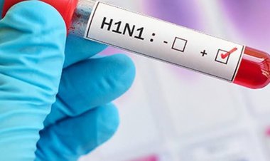 छत्तीसगढ़ के इस जिले में H1N1 की एंट्री से मचा हड़कंप, 2 साल की मासूम हुई संक्रमित; स्वास्थ्य विभाग सतर्क…..